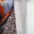 Хлопок рогожка Лисы 150 см, Россия