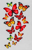 Термотрансфер Бабочки красный 13×20 см